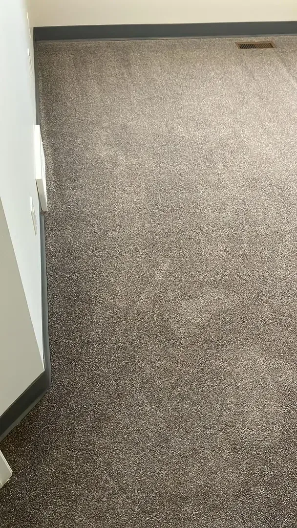 Carpet surface with visible extraction lines after cleaning