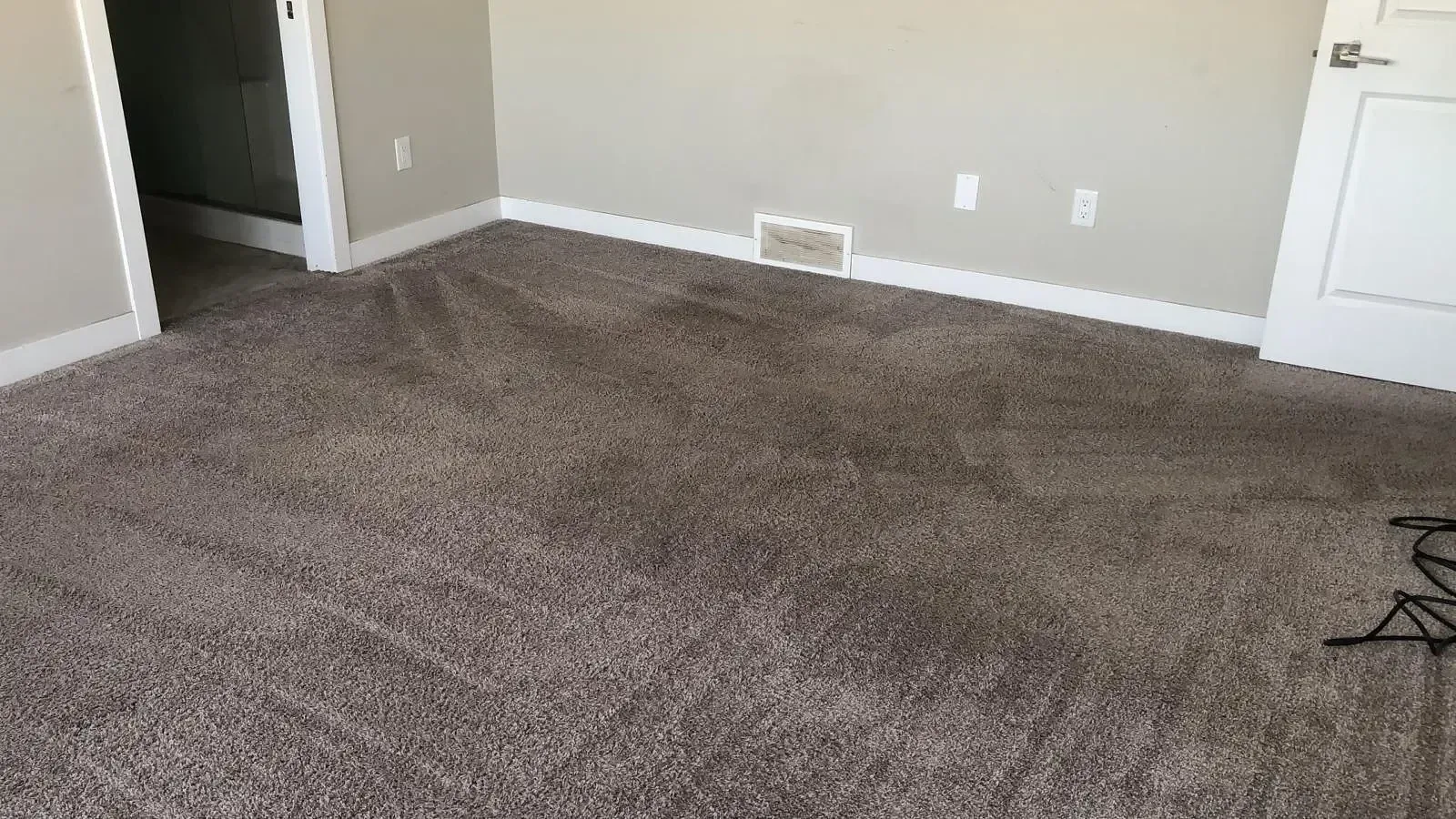 Finished carpet with extraction lines across an empty room